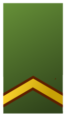 Sergeant(Suriname Army)[66]