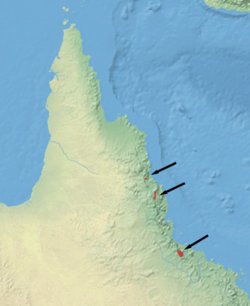 Udbredelsesområde i det nordøstlige Australien