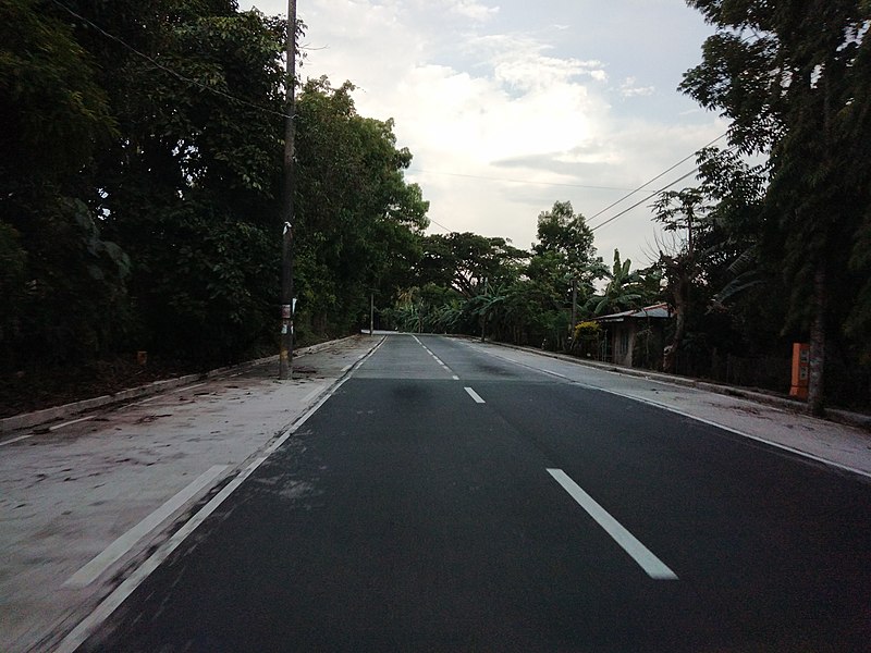 File:Noveleta–Naic–Tagaytay Road (San Gregorio Street segment) 01.jpg