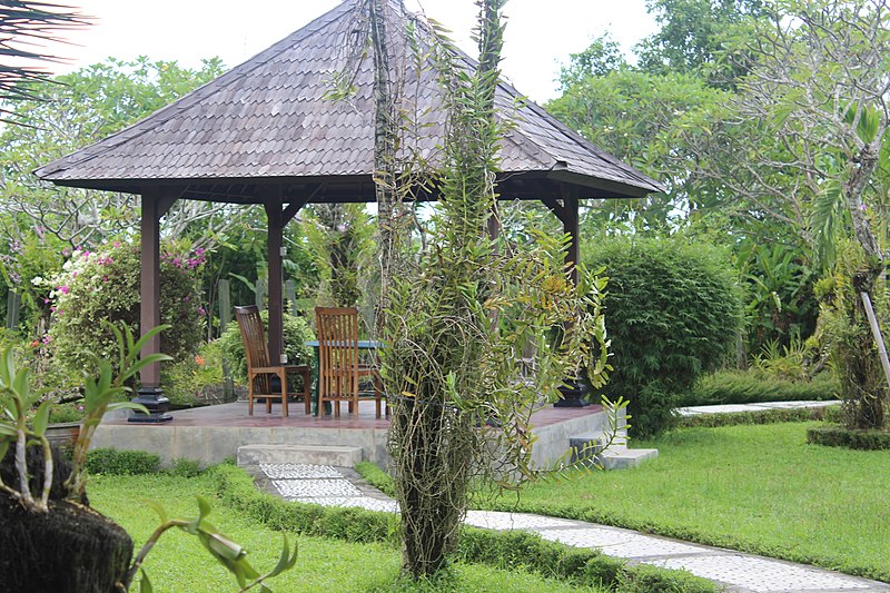 File:Orchid Garden Bali Indonesia - panoramio (16).jpg