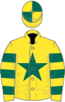 Yellow, Dark Green star, hooped sleeves, quartered cap