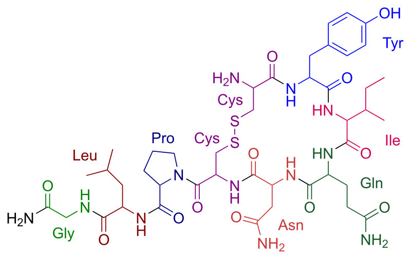 File:Oxytocin color.svg