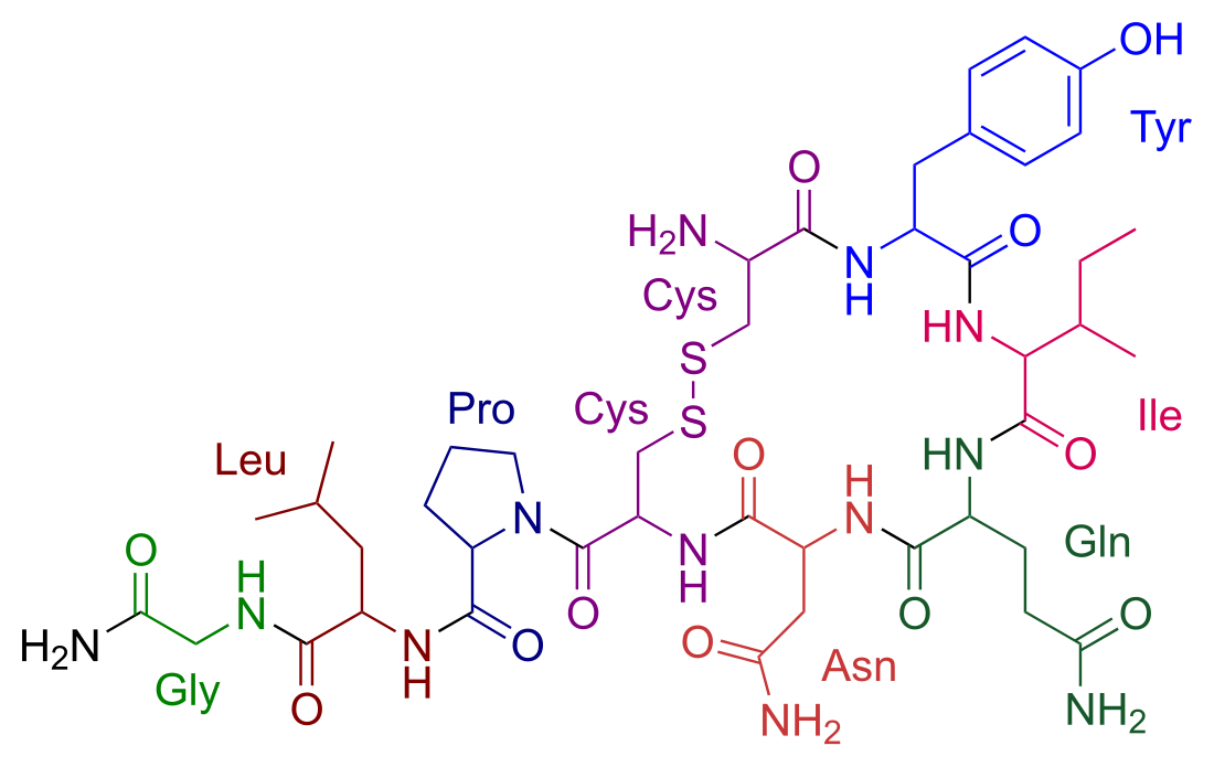 File:Oxytocin color.svg