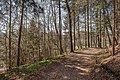 * Nomination Forest trail Almweg in Leonstein, Pörtschach, Carinthia, Austria -- Johann Jaritz 02:55, 9 April 2021 (UTC) * Promotion  Support Good quality. --XRay 03:41, 9 April 2021 (UTC)