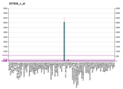 PBB GE CYP1A2 207608 x på fs.png