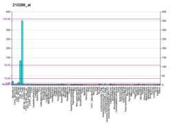 PBB GE KLRG1 210288 в формате fs.png