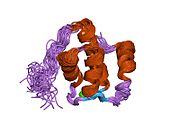 PDB 1fi6 EBI.jpg