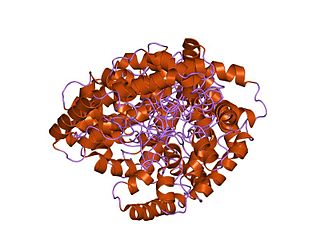 <span class="mw-page-title-main">Crustacean neurohormone family</span>