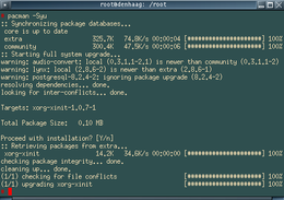 Capture d'écran de Pacman s'exécutant dans un émulateur de terminal