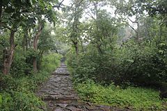 Archaeological Survey of India monument number N-MP-225 Path way Bhembetika (2).jpg