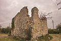 Antiga Abadia del Codony (Perafort)