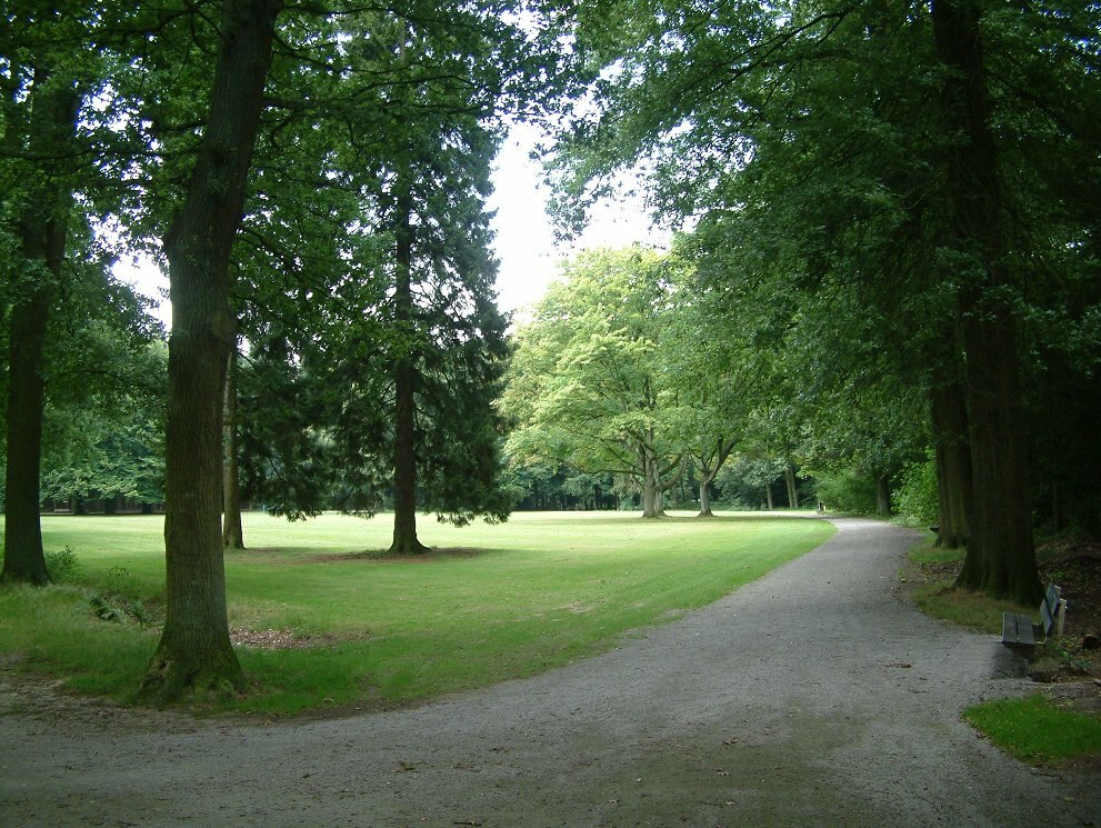 Large park