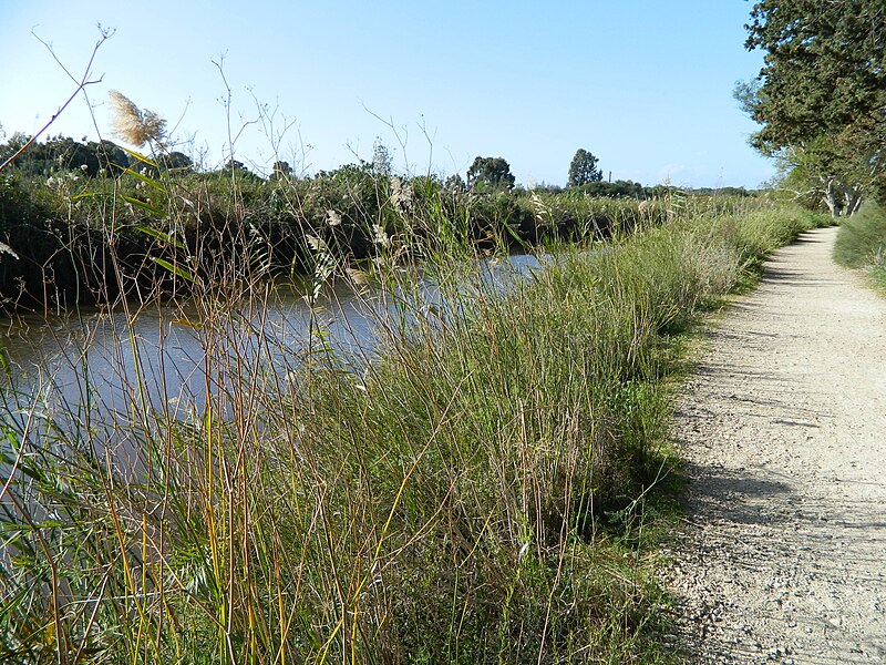 File:PikiWiki Israel 16494 Alexander river.JPG