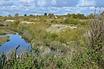 Pitstone Quarry