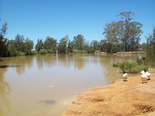 Small lake in Plumpton Park