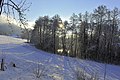 * Nomination Winterly landscape on Quellweg at Winklern, Poertschach, Carinthia, Austria --Johann Jaritz 12:38, 03 January 2015 (UTC)*  Comment Its tilted cw 2°, some white reduction needed. --Hubertl 12:49, 3 January 2015 (UTC) --Johann Jaritz 13:41, 3 January 2015 (UTC)  Done Corrections executed. * Promotion Good quality. --Hubertl 13:42, 3 January 2015 (UTC)