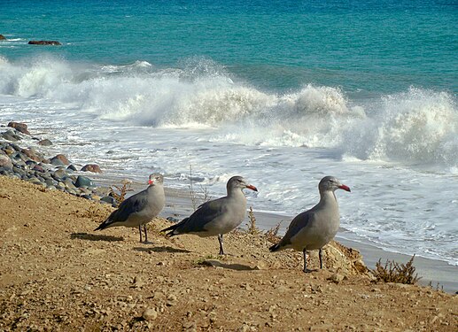 Point Mugu State Park, California