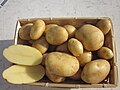 Mandola-Kartoffeln