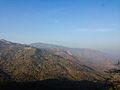 Protected forest near mount abu.jpg