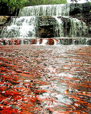 <span class="mw-page-title-main">Jasper Creek (Venezuela)</span> River in Venezuela