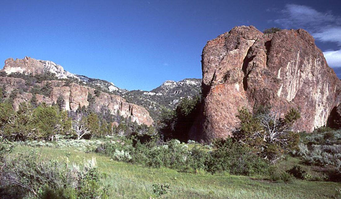 Quinn Canyon Wilderness