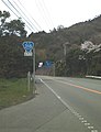 国道318号（土成町宮川内）