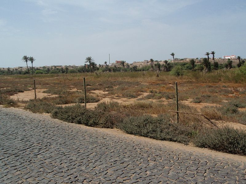 File:Rabil - Estancia de Baixo.jpg