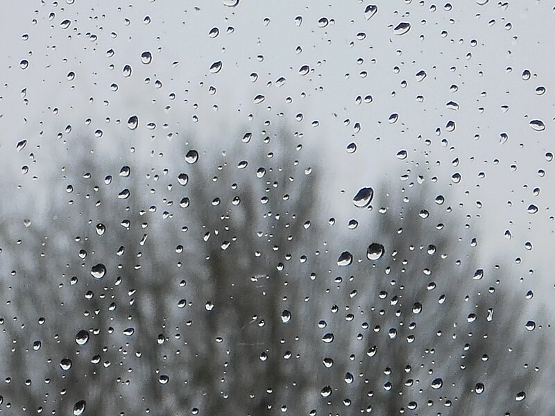 File:Raindrops in Germany (Regentropfen Marburg Februar 2016 Ludwig Sebastian Micheler) weather on 2016-02-08.JPG