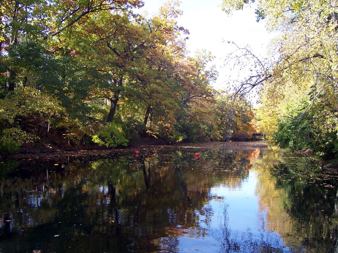 Red Cedar (rijeka)