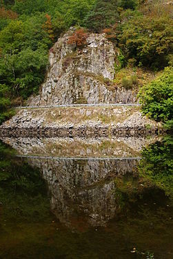 Reflet dans la Dordogne