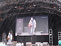 Richard Digance at the 2010 Cropredy Festival.jpg