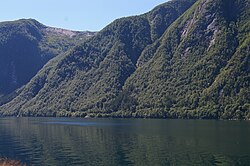 Risnefjorden