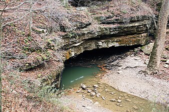 Mammoth Cave Nationalpark