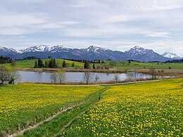 Huttlerweiher