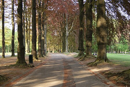 Road in Parc d'Osseghem2