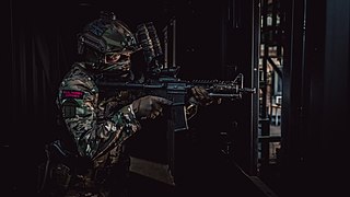 Future Commando Force Modernisation programme and future model for British Royal Marines