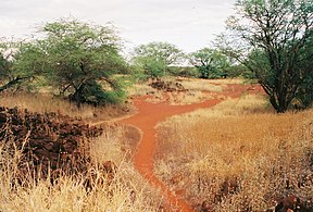 Vestiges du fort russe "Elizabeth" sur la côte sud de Kaua'i