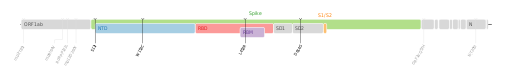 Les mutations du variant Epsilon sur une carte génomique du SARS-CoV-2