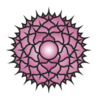 <span class="mw-page-title-main">Sahasrara</span> 7th primary chakra in some yoga traditions