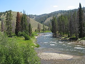 Zalm River.JPG