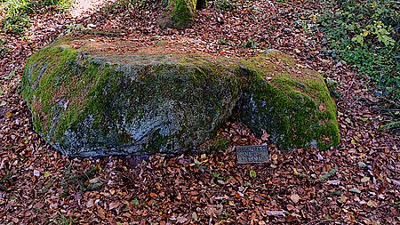 Schalenstein Stedtiberg CH