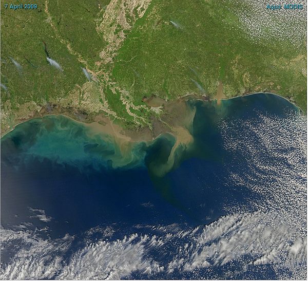 Sediment in the Gulf of Mexico