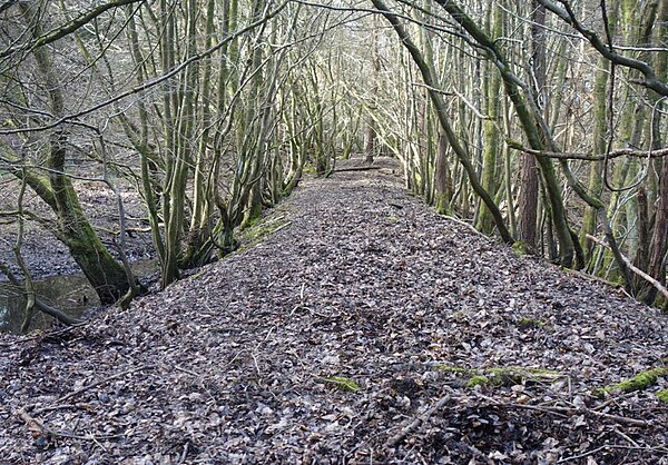 Trackbed of the 1812 Churchway branch of the Severn & Wye Railway (SO 634 152).