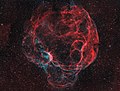 Sh2-240 aka Spaghetti Nebula.jpg