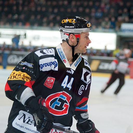 Shawn Heins, Gottéron-Langnau, 15.01.2010