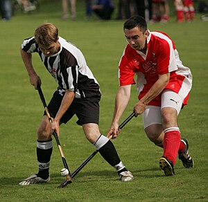 Bute Vs Glenorchy Shinty Bute.jpg