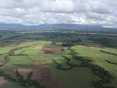 Silay sugar plantation from air