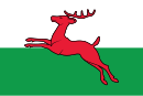 Smallingerland zászlaja