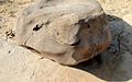 Smiling frog shaped stone near Dholavira, Great Rann of Kutch (16062544493).jpg
