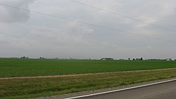 Fields in the township